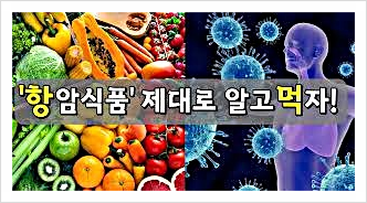  한가지 항암 식품에만 의존하지 마라, 사람 개인 차, 동물 실험 결과 적용 균형 영양