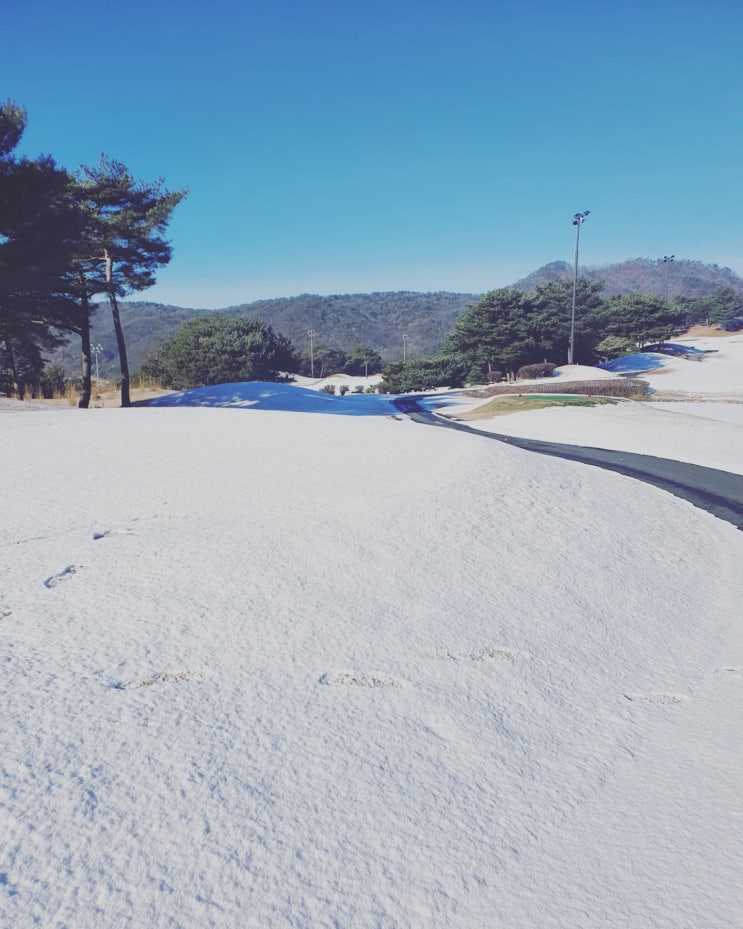  [캐슬파인GC] 여주 겨울 눈쌓인 골프장 라운딩 후기