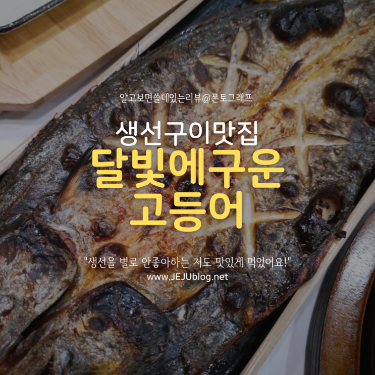  생선구이맛집 달빛에구운고등어 제주이도점! 12첩 계절밥상 제주시맛집~