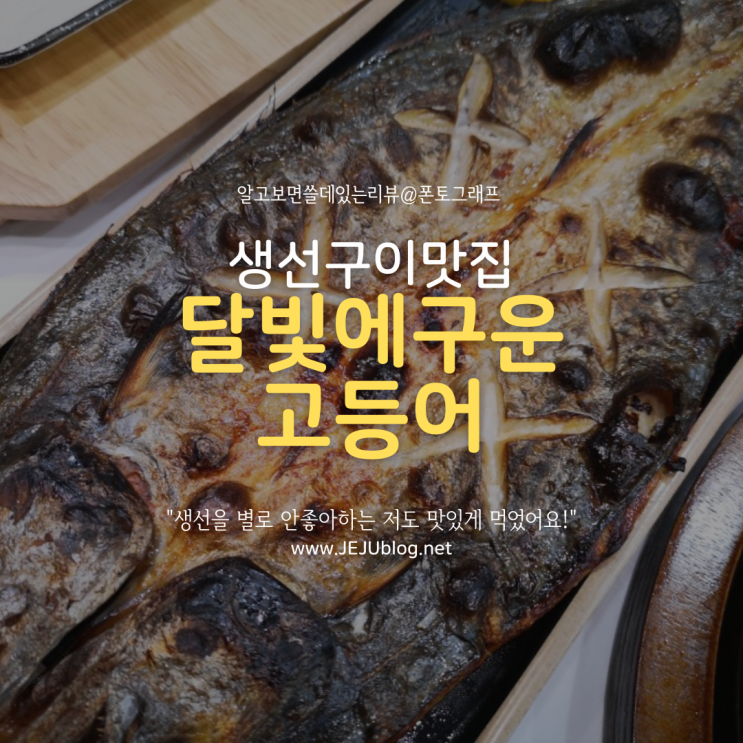 생선구이맛집 달빛에구운고등어 제주이도점! 12첩 계절밥상 제주시맛집~