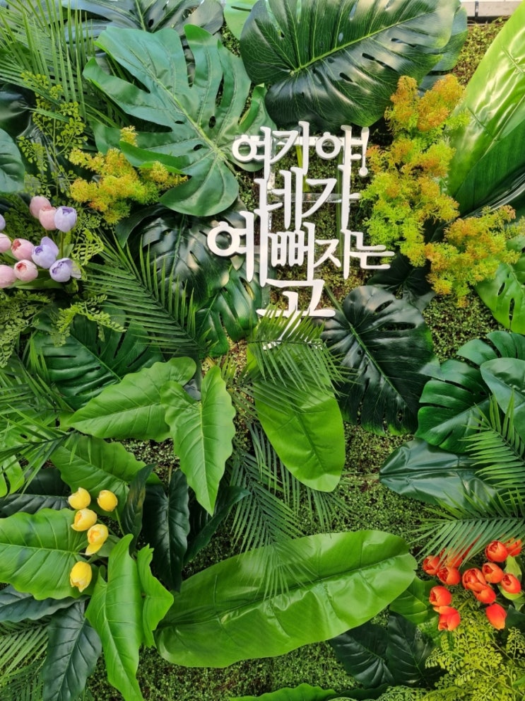  대전근교 드라이브, 영동 레인보우식물원!