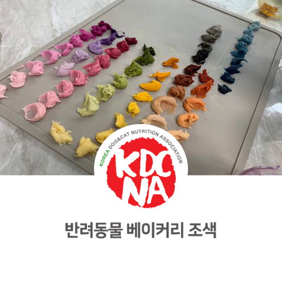  한국반려동물영양협회 전북지회 반려동물 베이커리 조색 교육_953 [반려밥상/펫베이커리/강아지케이크/고양이케이크/천연조색/천연가루/전주애견수제간식/펫푸드자격증/원데이클래스]