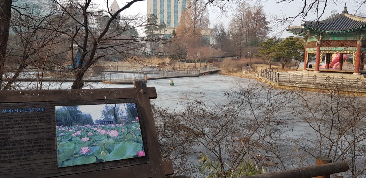 서울어린이대공원 무료입장 동물원, 식물원, 놀이공원, 주차 팁 (설연휴 가볼만한 곳)