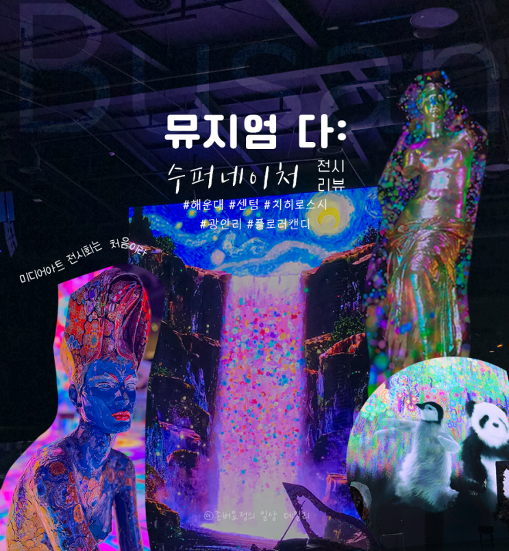  [해운대/센텀/광안리/서면]비오는날 추천하는 실내 데이트/한 번쯤 볼 만한 전시리뷰#뮤지 엄다 #슈퍼 네이터 #치히로스시 #캔디플로러
