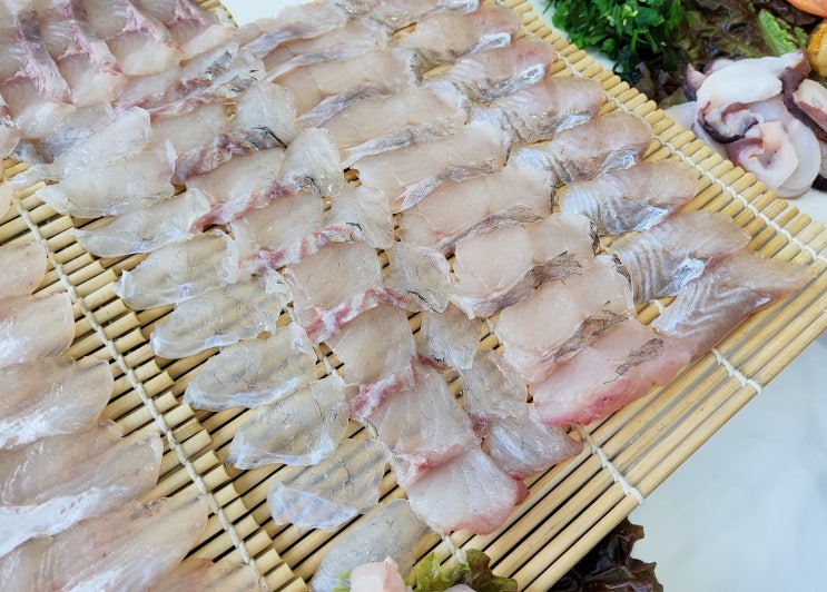  강원도 고성맛집 자연산회 쫀득쫀득 복어 JMT