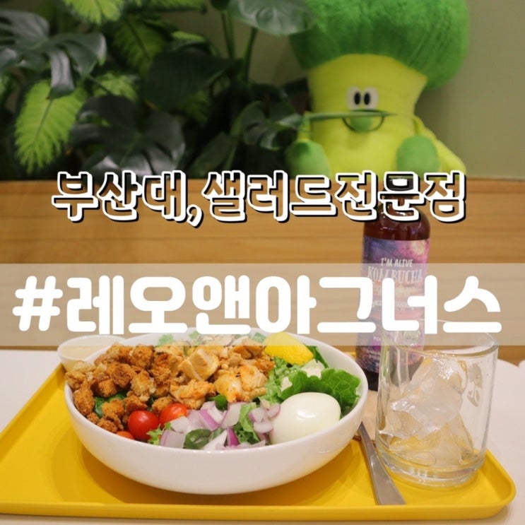  부산대 레오앤아그너스/ 부산대샐러드, 부산대브런치 추천!!