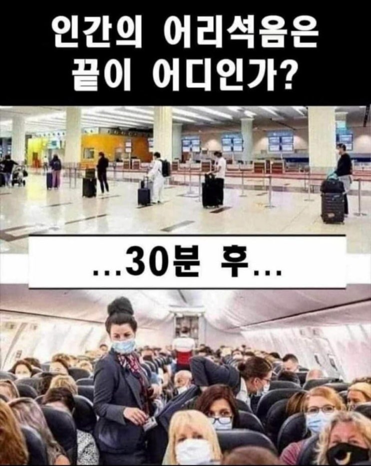  어리석음? 인간의 어리석음은 끝이 어디인가? 환호에 떠나라