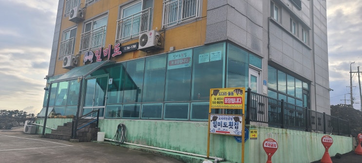  제주 일미도 횟집, 도다리회가 맛있는 최강 가성비 제주 세화 맛집 내돈내산 후기