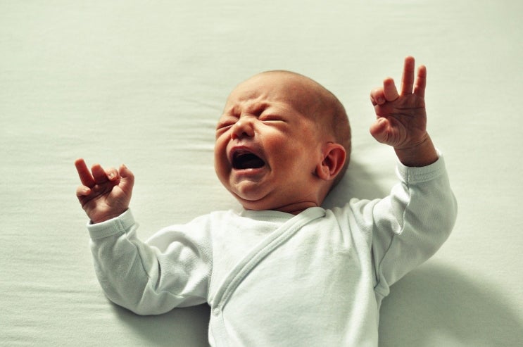 아기수면대가 범은경소아과선생님 강의! 수면교육에 대한 꿀팁+대가가 되는 방법