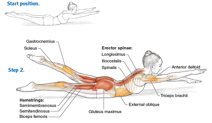 필라테스 아나토미 라엘 아이자코비츠 해부학적으로 쉽게 배우는 pilates anatomy 리포머 스프링보드 운동 하지 정리