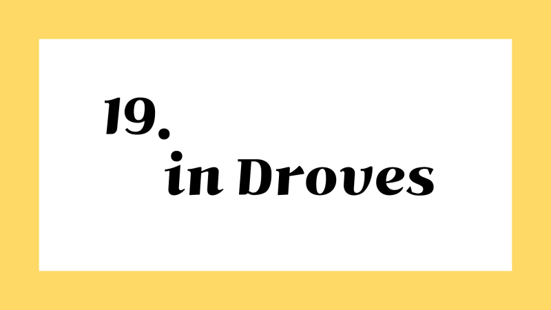 영어저금통 ::: 19. in droves 뜻 : 네이버 블로그 영어저금통 ::: 19. In Droves 뜻 : 네이버 블로그