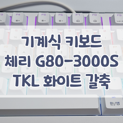 나의 두번째 기계식 키보드, 체리 G80-3000S TKL RGB 화이트 갈축 리뷰 - 기존에 쓰던 키크론 K3 갈축과 비교