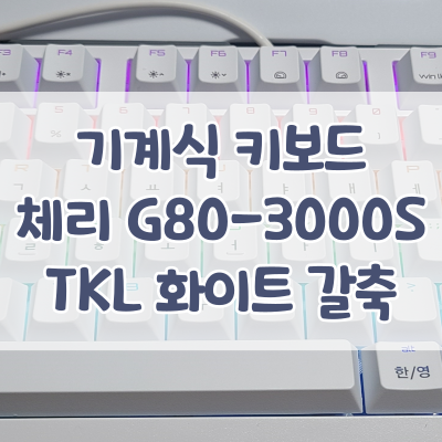  나의 두번째 기계식 키보드, 체리 G80-3000S TKL RGB 화이트 갈축 리뷰 - 기존에 쓰던 키크론 K3 갈축과 비교
