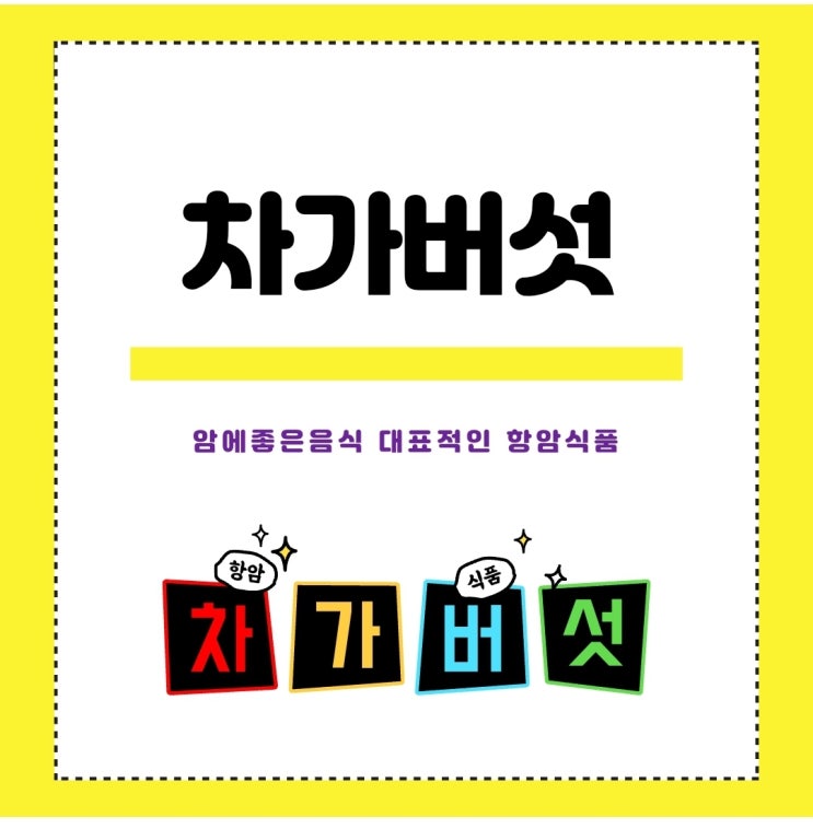  암에좋은음식 차가버섯/차가버섯차 끓이는법