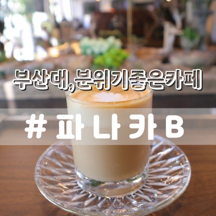  부산대 파나카B/ 분위기좋은 부산대카페, 디저트카페 추천!!