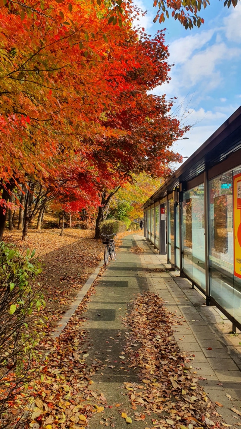 2021.11 : 네이버 블로그