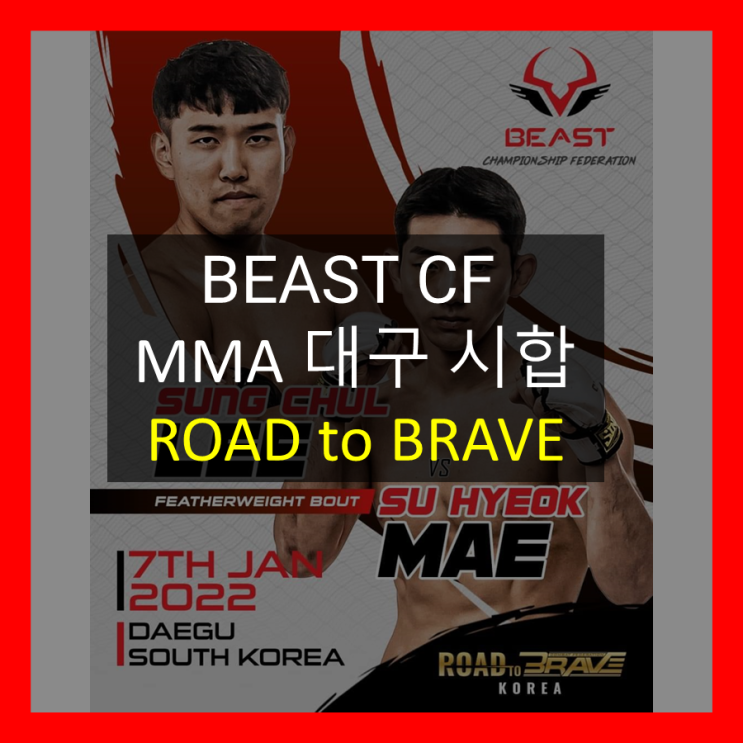 [Road to Brave / 비스트 CF] BEAST CF 싸이코핏불스 MMA 시합결과!