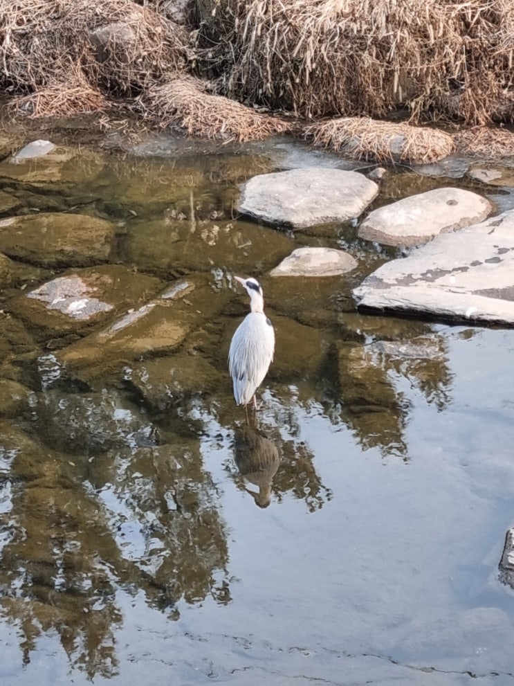 지난 주말의 산책