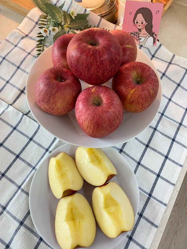 밀양얼음골사과 고당도 향촌농원 부사사과