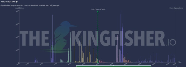  The Kingfisher! 킹피셔! 비트코인 청산맵 사용하기