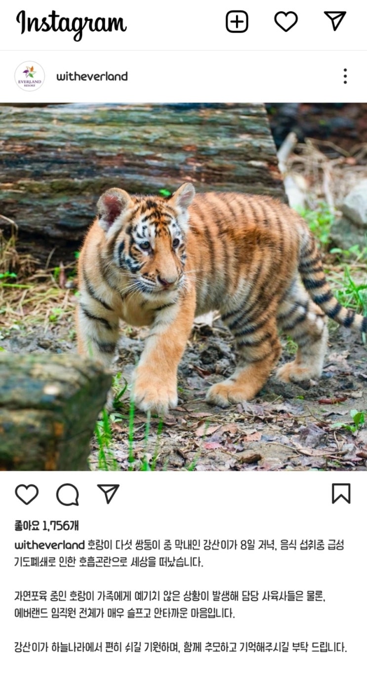  강산아... ㅠㅠㅠ