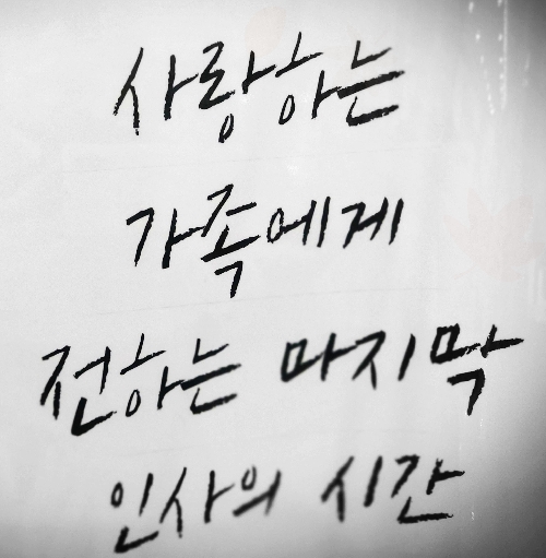  유골 뿌리기 절차란? 무엇인지 장례식 생략 한 후기로 알아보기