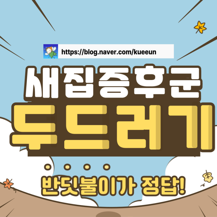  새집증후군  두드러기까지 났다면? 반딧불이가 정답!