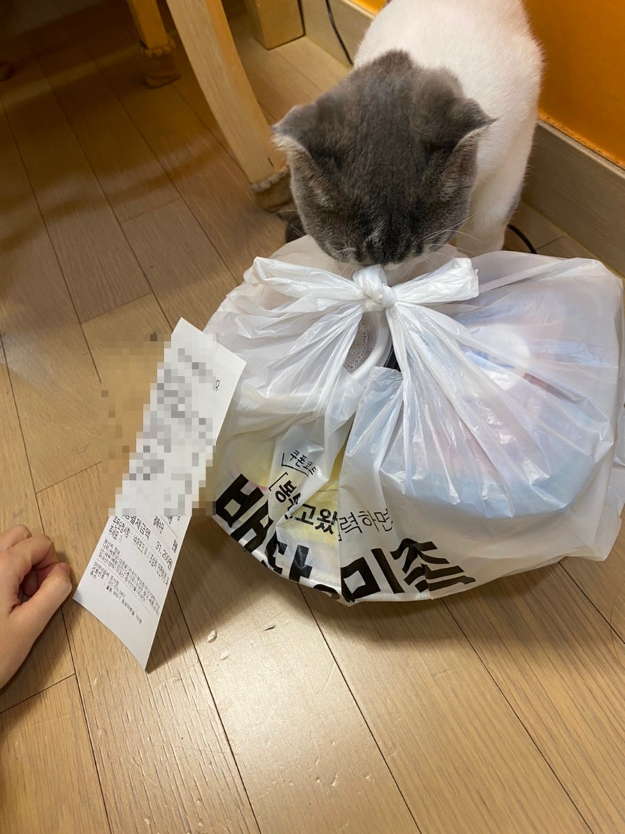 마약낙곱새 오산점 사진 2