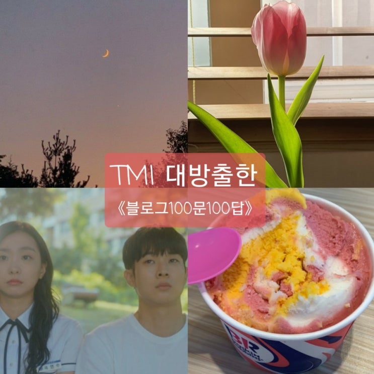  TMI대방출한 《블로그 100문 100답 양식》
