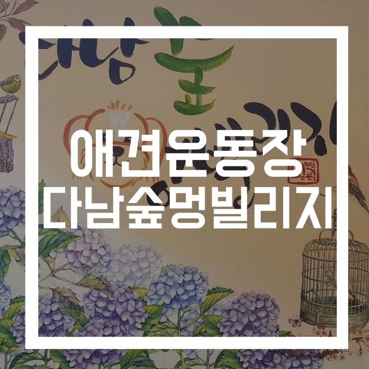  인천 서울근교 강아지 애견운동장 카페 다남숲멍빌리지