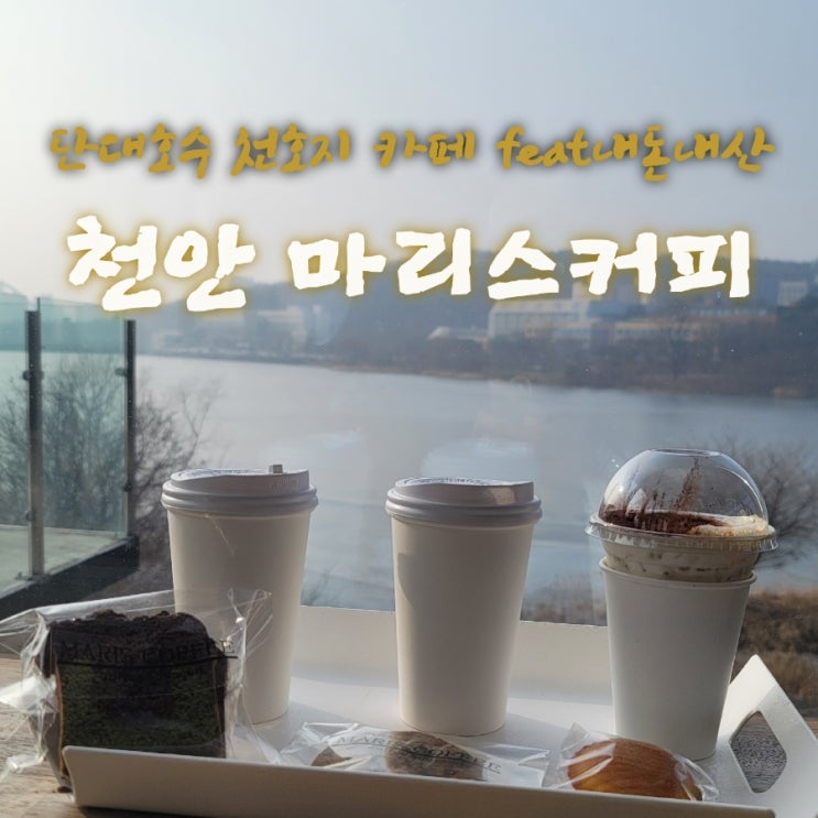  마리스커피 [충남 천안 단대호수 천호지 카페추천  feat내돈내산후기]