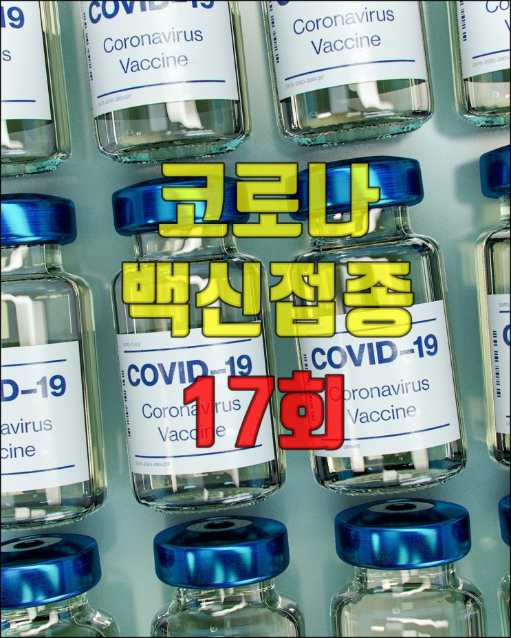  코로나 백신접종 17회 후기
