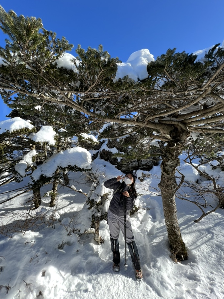  겨울 한라산 윗세오름 (영실코스) ️