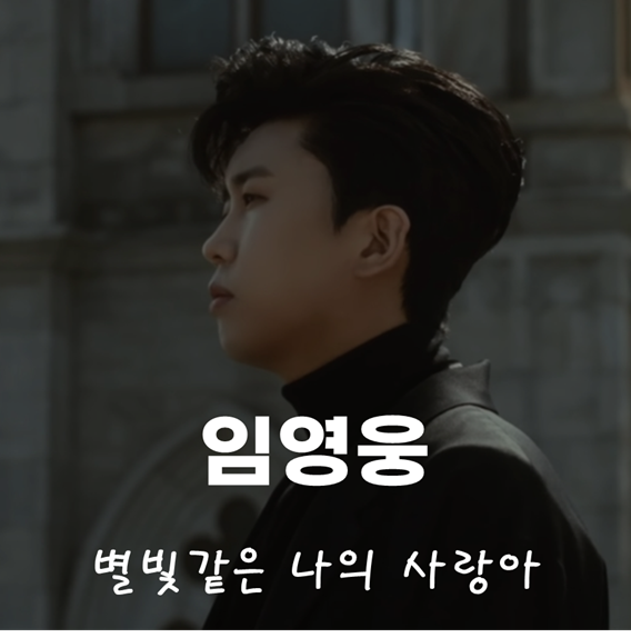  [가사가 따뜻한] 임영웅 - 별빛 같은 나의 사랑아