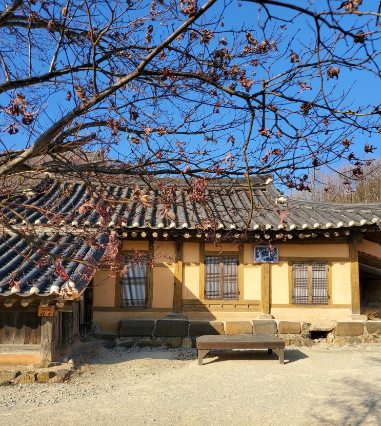  강원도 고성 가볼만한곳 왕곡마을 영화 동주 촬영지