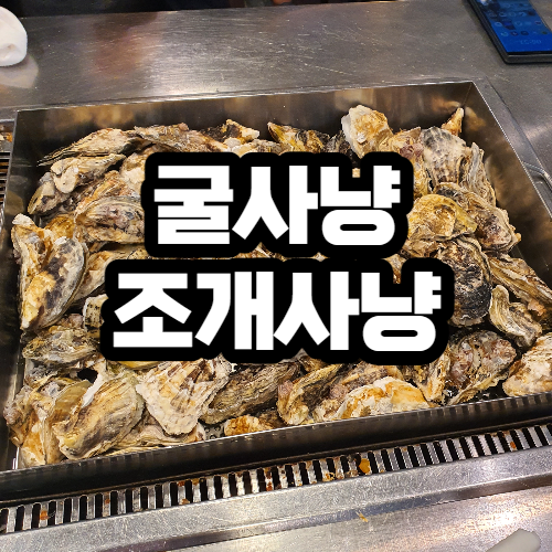 일산 라페스타 맛집, 굴사냥 조개사냥 굴찜