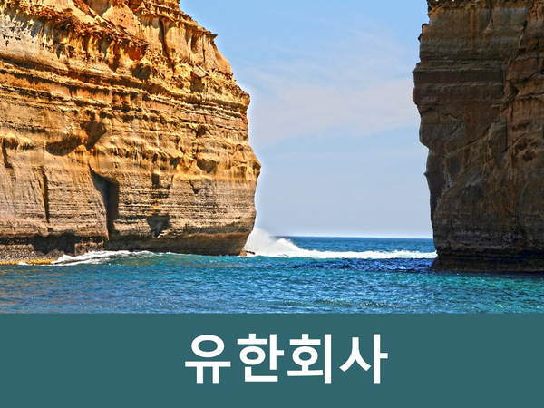  1인 유한회사법인 설립 및 구비서류 핵심정리