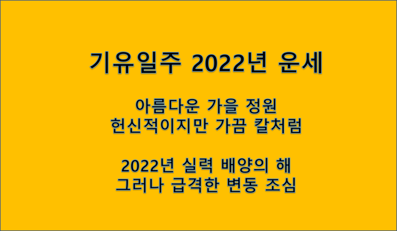 헌신적인 기유일주 2022년 임인년 운세와 재운 : 네이버 블로그
