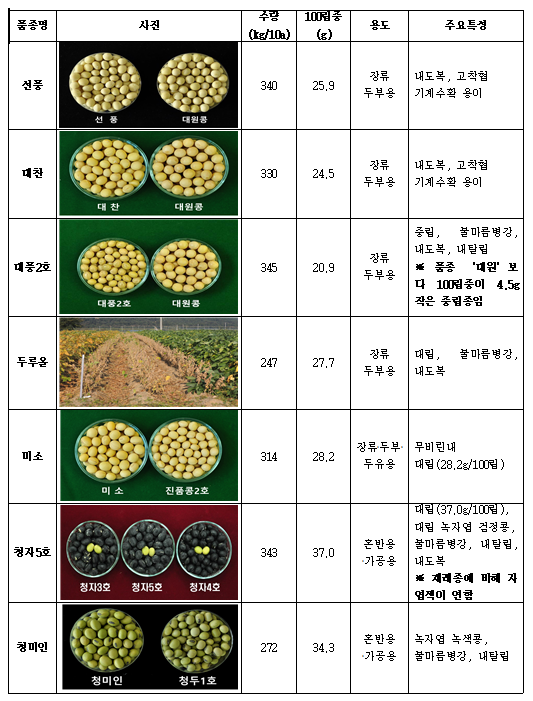 콩 신품종 종자, 농업기술실용화재단 통해 공급_농촌진흥청 콩 신품종 종자, 농업기술실용화재단 통해 공급_농촌진흥청