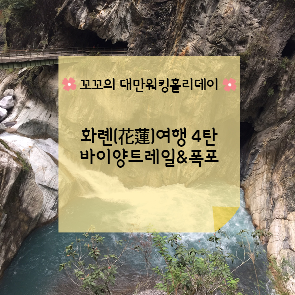 [대만워홀] 화롄(花蓮)여행 4탄 바이양 폭포(白楊瀑布) (feat. 폭포는 아름다우나 왕복 2시간의 늪)