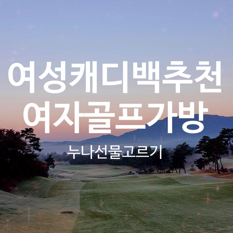 여성 캐디백(바퀴형, 스탠드형, 경량) 추천 feat. 여자골프 백 추천 리스트