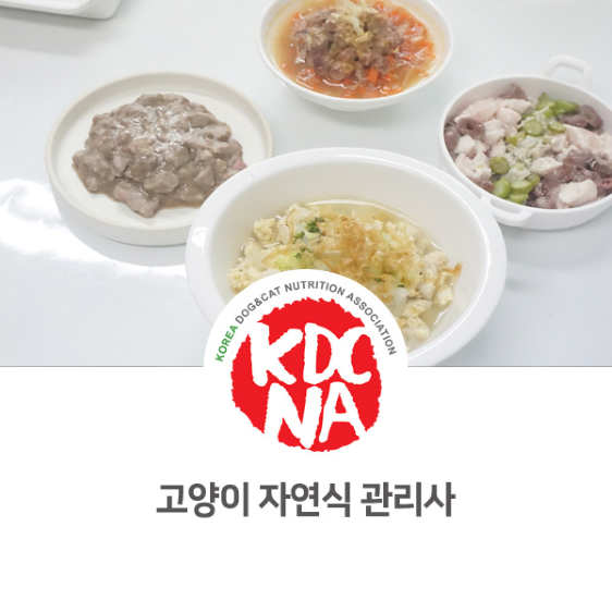  한국반려동물영양협회 반려동물자연식관리사 cat 고양이 펫푸드 자격증 후기 [박은정펫푸드아카데미/전주/보령/대전/광주/청주/동두천/천안/구미/펫푸드수업/펫푸드학원_980]