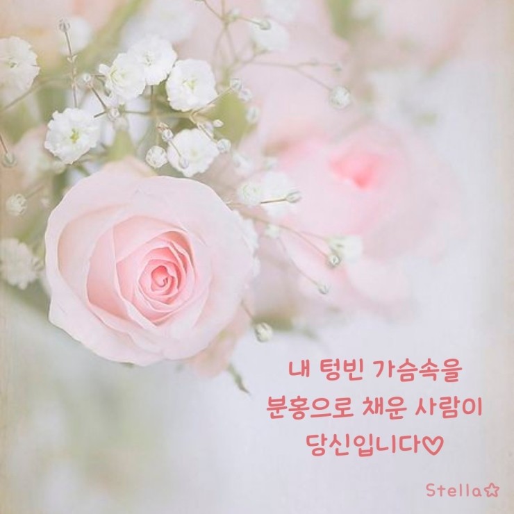  내 사랑 당신...