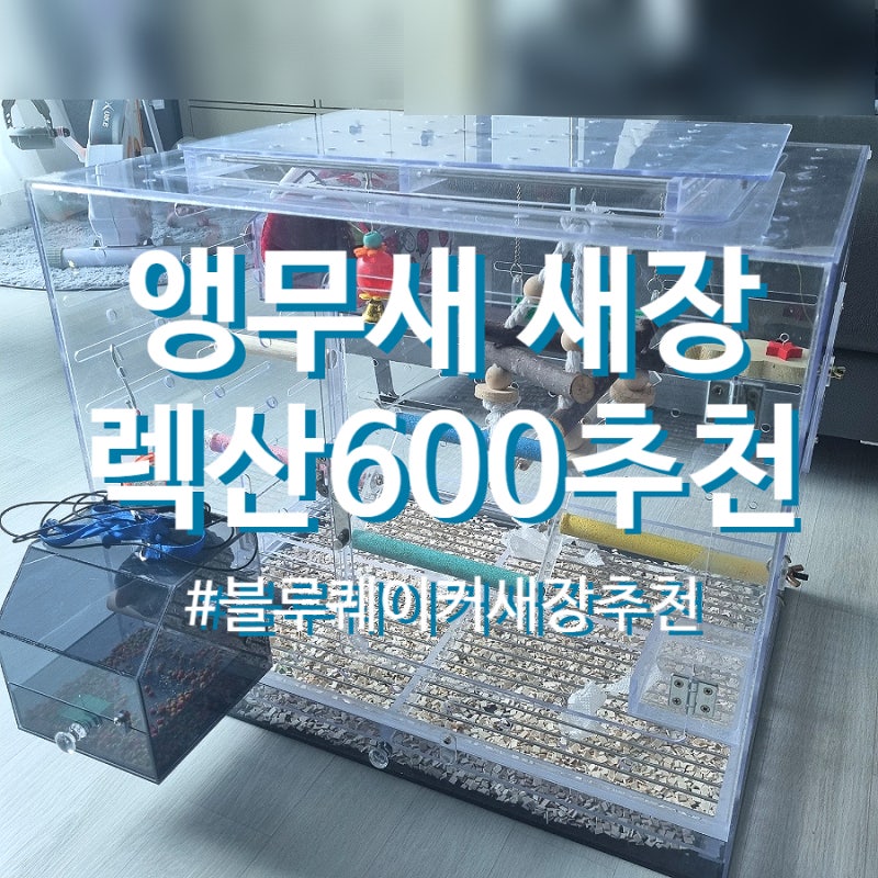 [앵무새새장] 아크릴 보다 V 튼튼한 렉산600장 추천 / 블루퀘이커뚜비 / 중형앵무새 / 아파트앵....