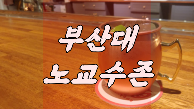  부산대 노교수존