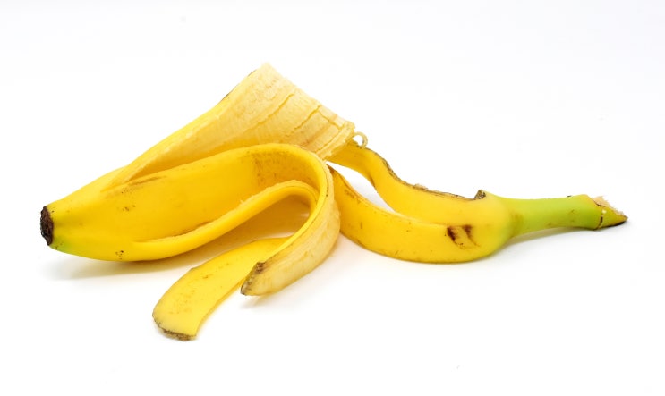 [꿀팁] 바나나 껍질 분리수거하는 정확한 방법