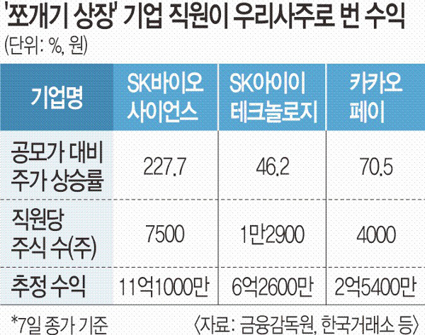 &lt;물적 분할&gt; 쪼개기 상장, 그들만의 리그.