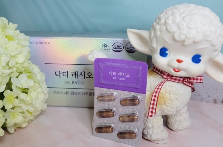  [제품후기]닥터래시오 올인원다이어트