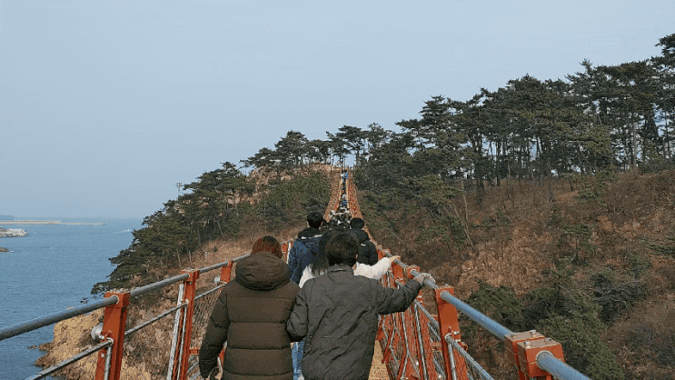  울산 출렁다리 솔향 가득한 산책길까지 완벽한 곳