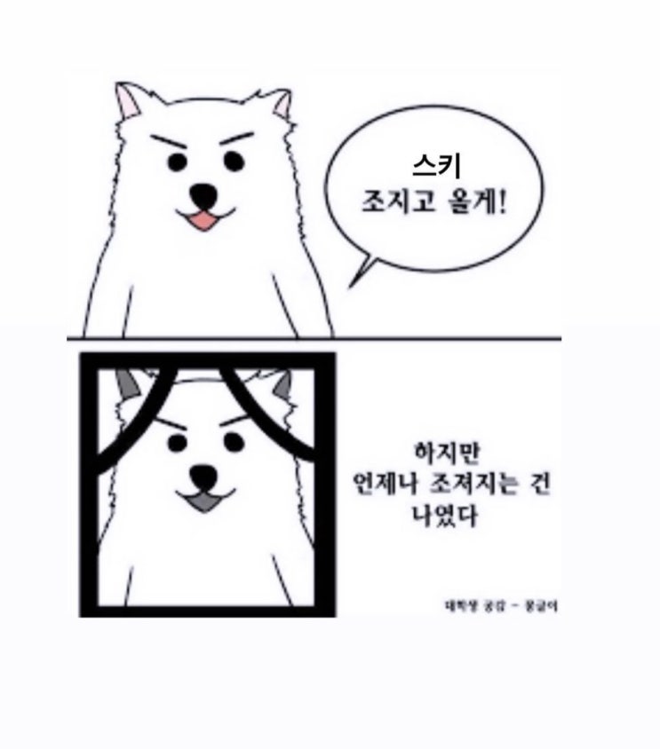  곤지암리조트 스키 리뷰